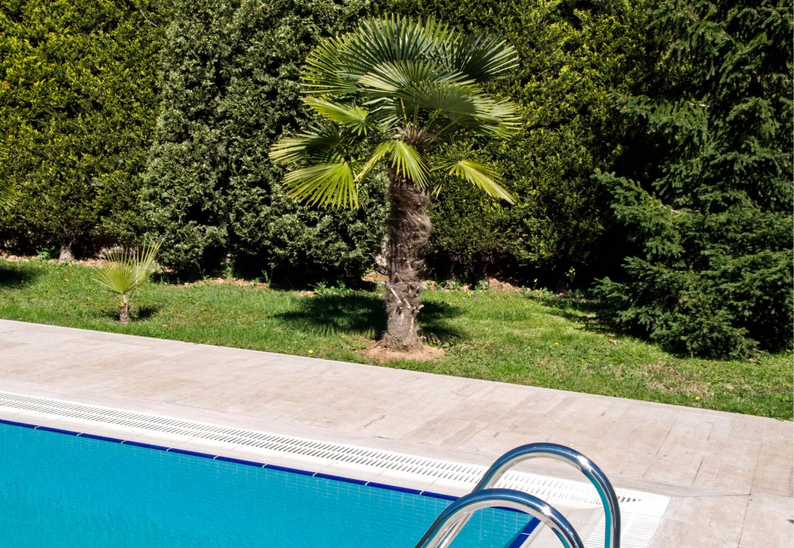 Aménagement de jardin en longueur avec piscine dans les Bouches du Rhône 