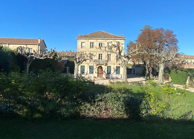 élagueurs à Avignon pour la taille de platane murier dans le Vaucluse