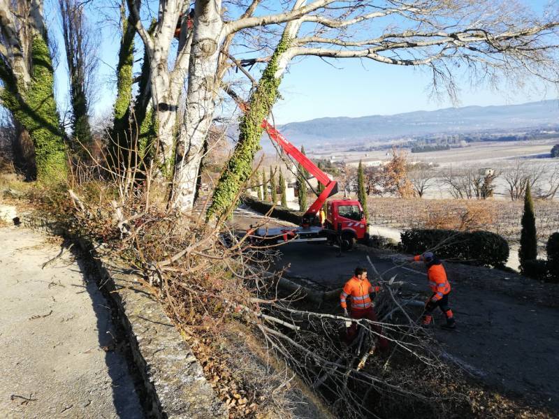 Élagueurs à Avignon pour l'abattage d’arbre en bord de route dans le Vaucluse